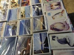 Anne猫窝咖啡屋-Anne猫窝咖啡屋