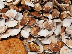 -粤海璇宫·木棉花高空旋转餐厅·聚会派对