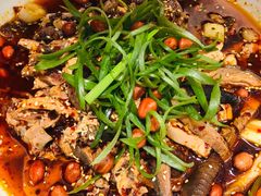 -蜀厨小匠·民间川菜(犀浦店)