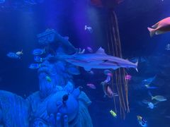 -沈阳海洋探索中心