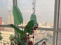 -海底捞火锅(振华广场生日主题店)