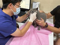 -北京观赏动物医院·24小时大型综合·猫专科·异宠专科