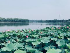 -素心小筑(后沙裕镇店)