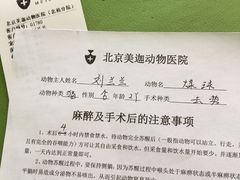 -美迦爱-牙专科·兔科·骨科诊疗中心(北苑店)