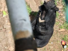 -合肥野生动物园