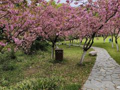 -新洲生态园
