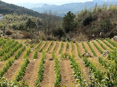 -瑞安圣井山景区