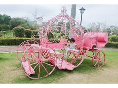 -美的鹭湖森林度假区