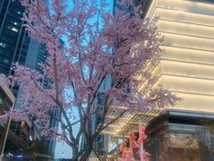 -首开·龙湖成都西宸天街