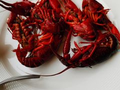 -上海嘉定喜来登酒店
