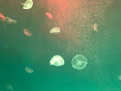 -多彩贵州城极地海洋世界