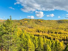 -莫尔道嘎国家森林公园