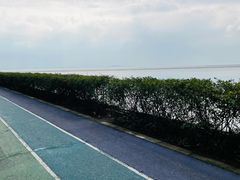-贡湖湾湿地公园