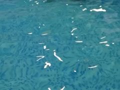 -乐悠游亲子游泳俱乐部