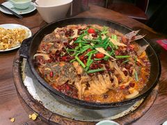 -老板恋上鱼(高新万达店)