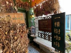 -一棵树咖啡馆(泉乐坊店)