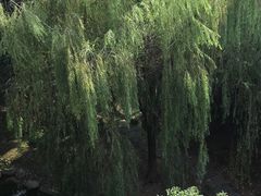 -碧云新天地二期