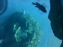 -苏州海洋馆