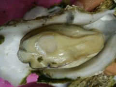 -蠔园山庄(礼乐食街店)