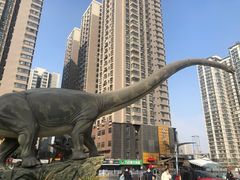 -陕西自然博物馆