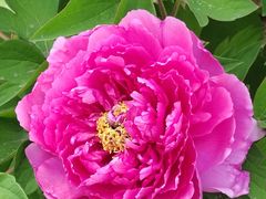 -苏州河梦清园环保主题公园