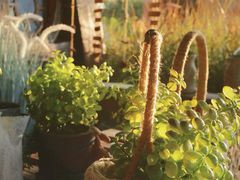 -珠海海泉湾神秘岛亲子乐园