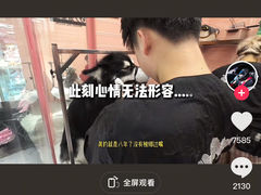 -FAELING PETS美天灵宠物(合生汇店)