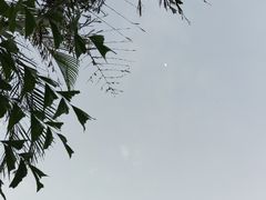 -海口观澜湖火山温泉谷