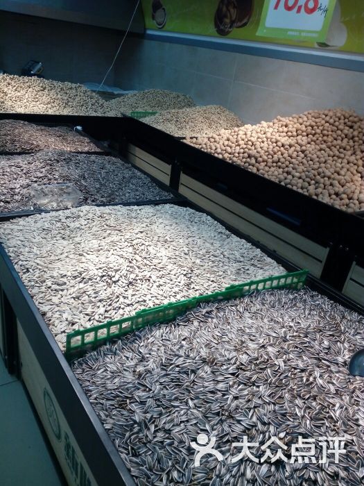 新隆嘉图片 - 第20张