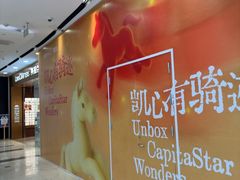 -凯德MALL(望京店)