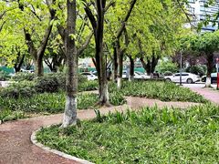 -四川大学(望江校区)