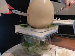 -汤城·料青山
