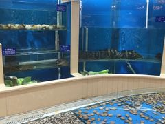 -福泉海码头(六里山店)