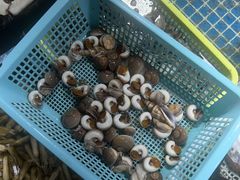 -霞涌市场海鲜摆卖区