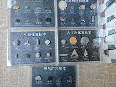 -北京周口店北京人遗址博物馆