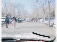 -大兴滨河森林公园