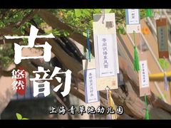 -上海青草地幼儿园