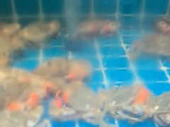 -锅老头铁锅炖•大锅蒸汽海鲜(韩乐坊店)