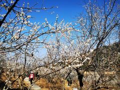 -广州市流溪河国家森林公园