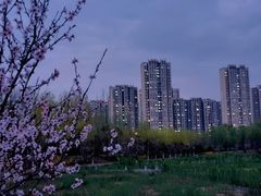 -永定河休闲森林公园