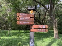 -北陵公园