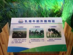 -君乐宝优致牧场