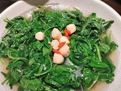 鲜瑶柱浸枸杞叶-晓粤·惹味粤菜(万菱汇店)