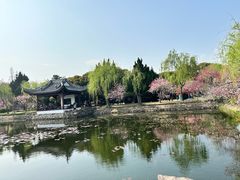 -无锡蠡湖国家湿地公园-蠡园