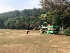 -莲花山公园
