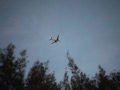 -宝安西湾红树林湿地公园