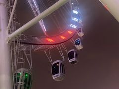 -泰盛楼顶摩天轮