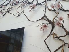 -确喜美味小厨(西单商场兰州店)