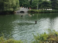 -长白岛森林公园