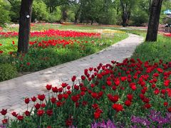 -国家植物园南园